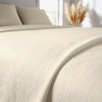 Pacha Home Embossed Solid  Bed Sheet Flat Set Model ESMF